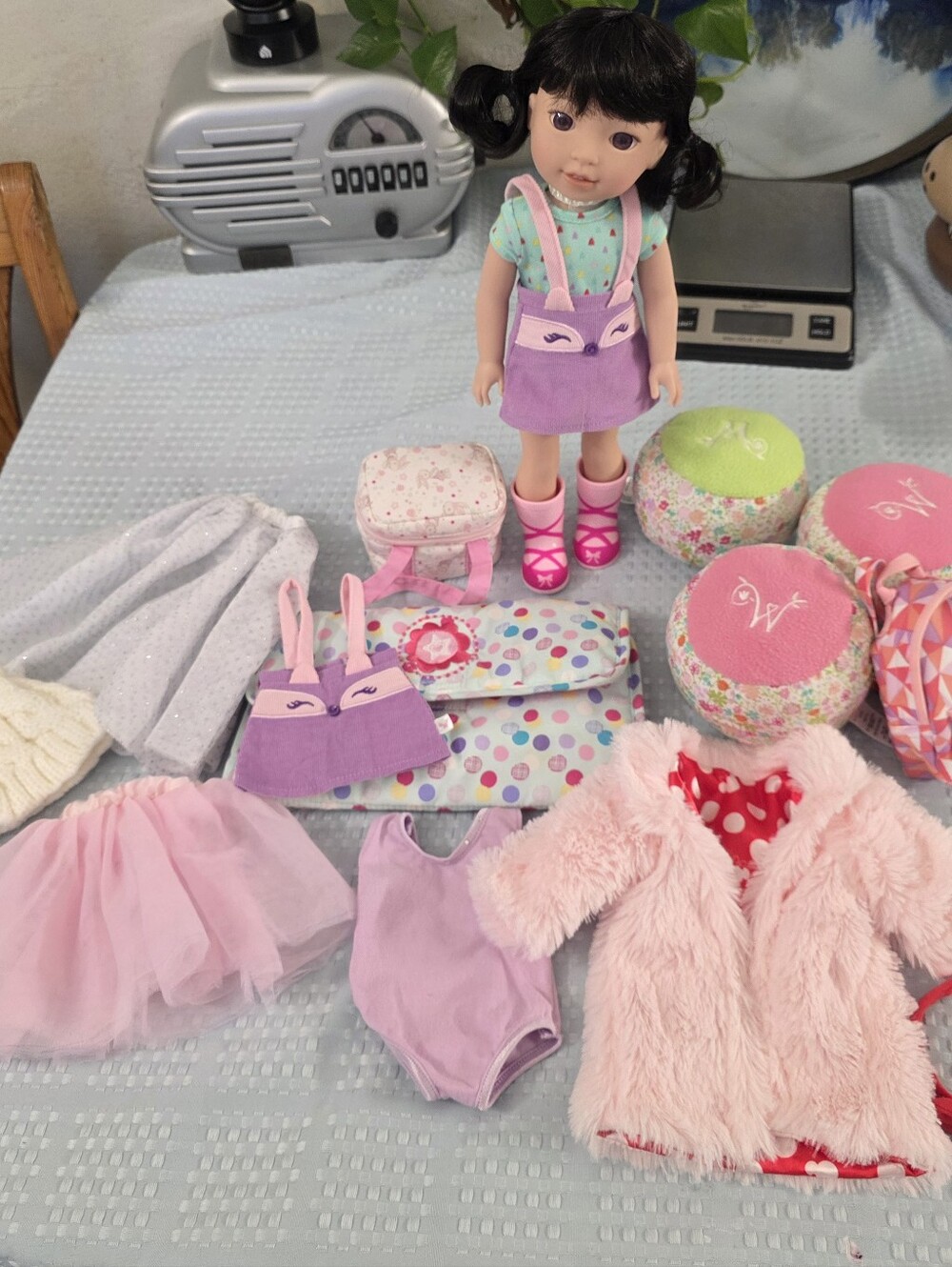 American Girl LOT Wellie Wishers Doll & Mix Brands (Read)